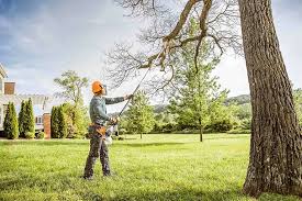 Best Tree Trimming and Pruning  in Greenville, TX
