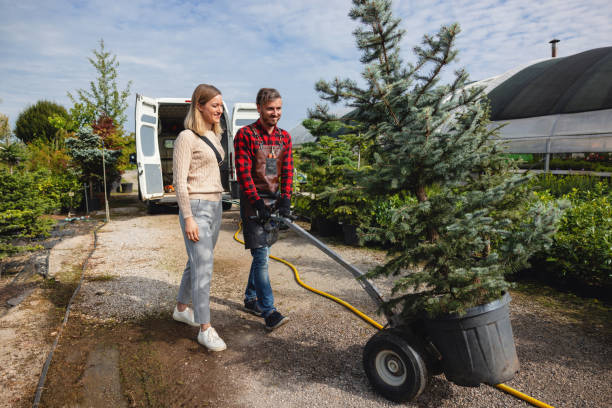 Best Firewood Processing and Delivery  in Greenville, TX